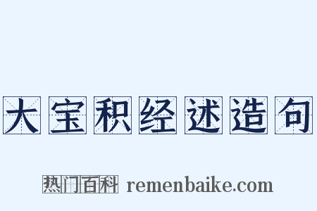 大宝积经述造句是什么意思的图片